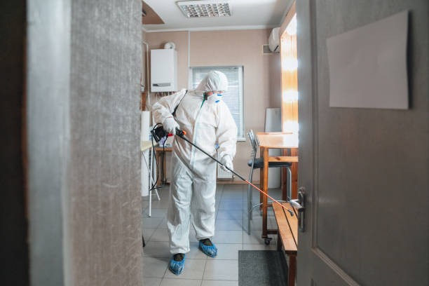 Best Real Estate Mold Inspection  in Solvang, CA