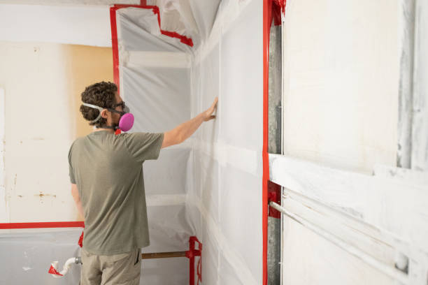 Best Comprehensive Air Testing for Mold Contaminants  in Solvang, CA