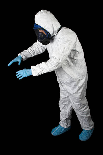 Best Black Mold Removal  in Solvang, CA